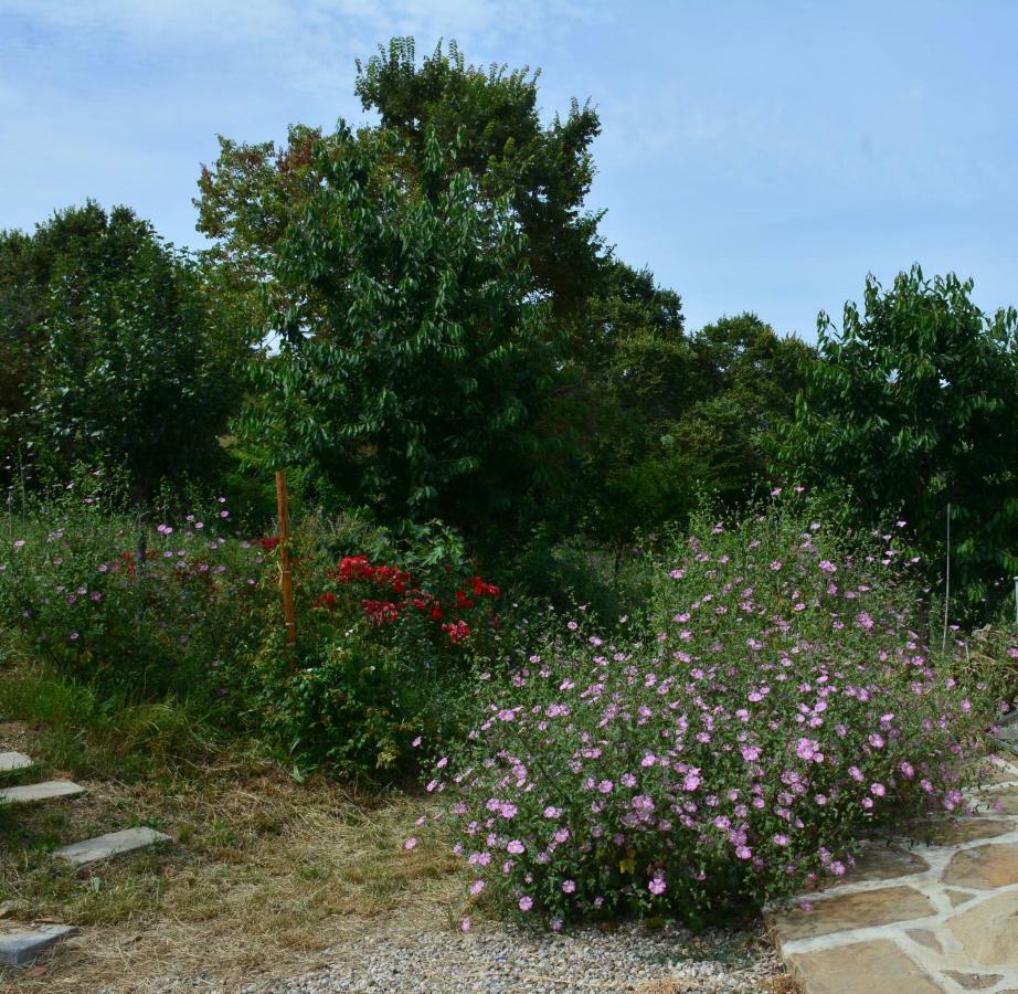 Casale Dionisia, Santa Maria Di Castellabate, Appartamento Iris Exterior foto